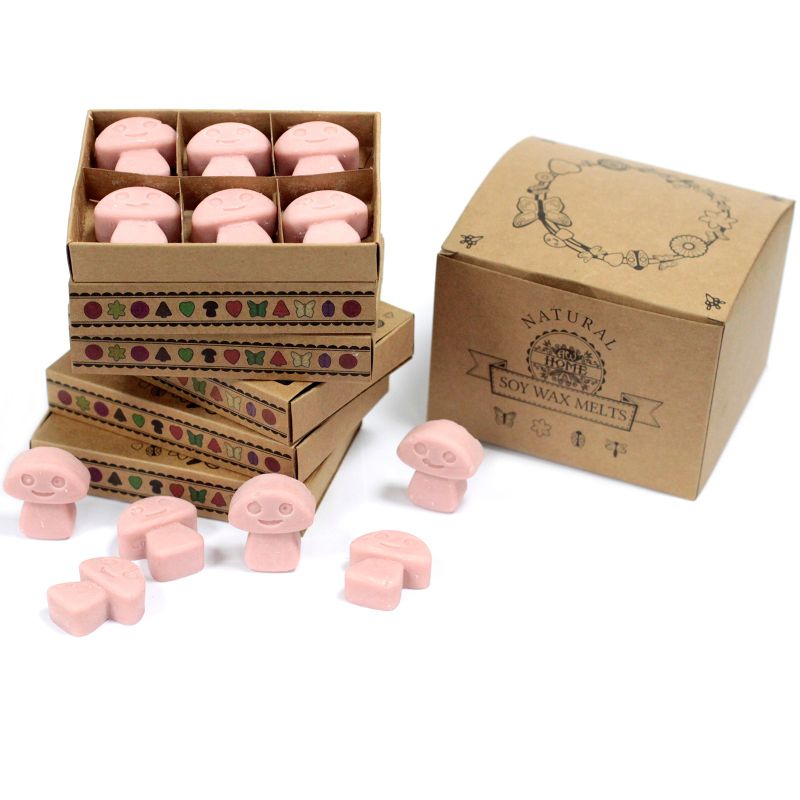 Duftwachs 6er Packung - Kaffee