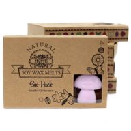 Duftwachs 6er Packung - Ylang Ylang
