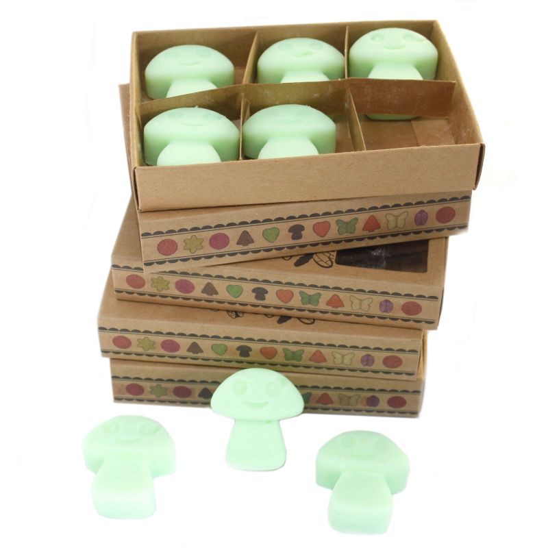 Duftwachs 6er Packung - Lakritze