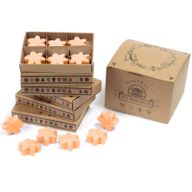 Duftwachs 6er Packung - Mango