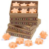 Duftwachs 6er Packung - Mango