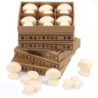 Duftwachs 6er Packung - Vanille & Muskat