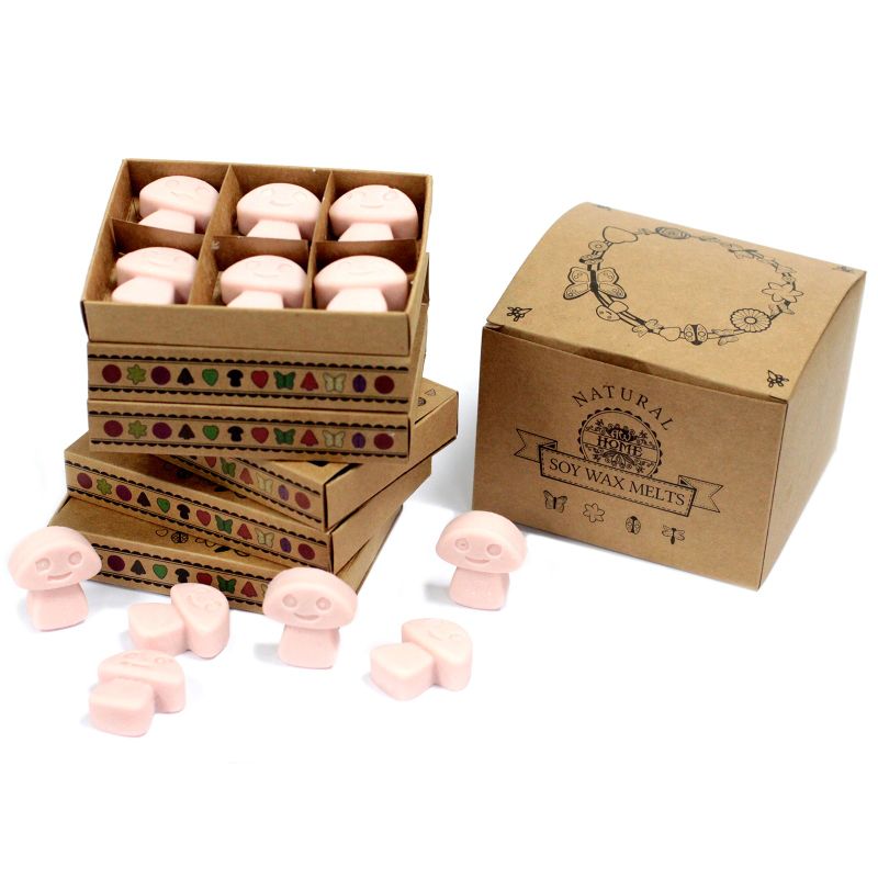 Duftwachs 6er Packung - Ingwer