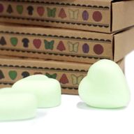 Duftwachs 6er Packung - Frische Wassermelone