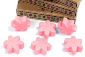 Duftwachs 6er Packung - Klassische Rose