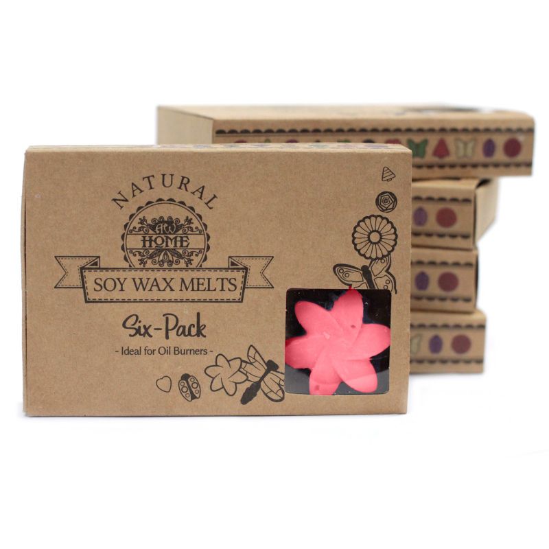 Duftwachs 6er Packung - Klassische Rose