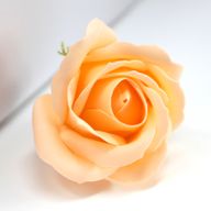 DIY Seifenblumen - mittelgroße Rose - Pfirsich