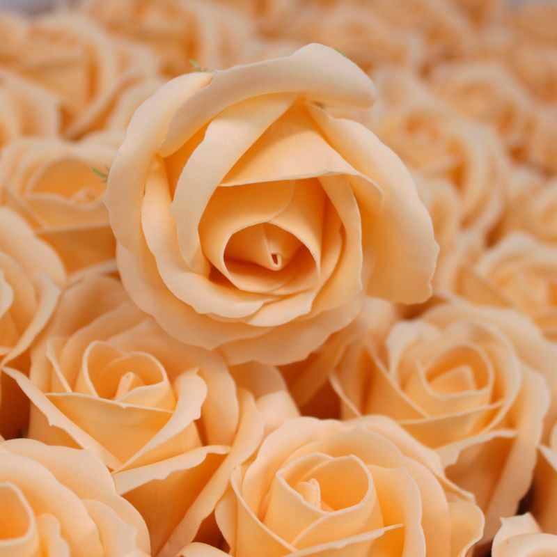 DIY Seifenblumen - mittelgroße Rose - Pfirsich