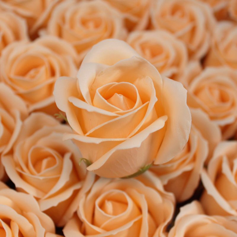 DIY Seifenblumen - mittelgroße Rose - Pfirsich
