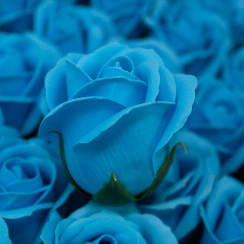 DIY Seifenblumen - mittelgr. Rose - Himmelblau