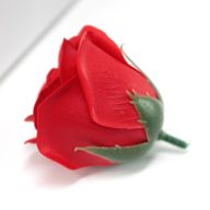 DIY Seifenblumen - mittelgroße Rose - Rot
