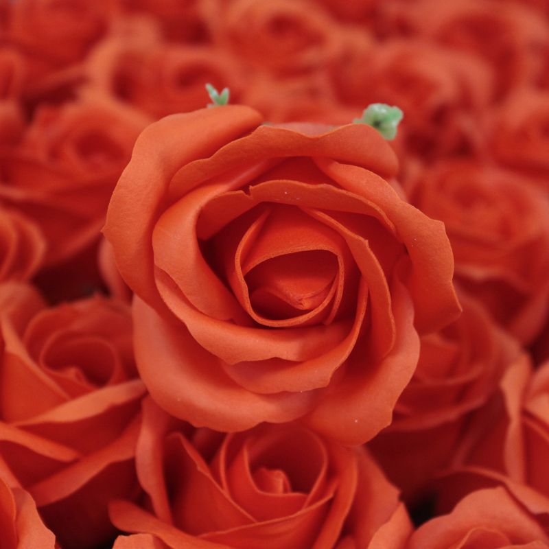 DIY Seifenblumen - mittelgroße Rose - Dunkel Orange