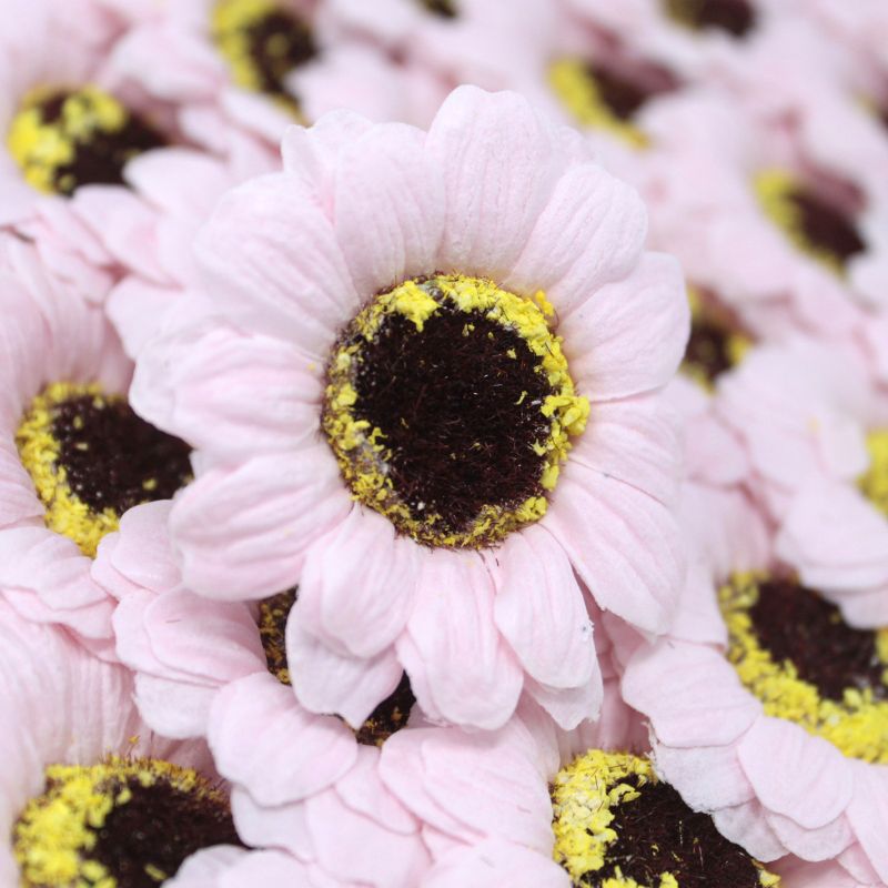 DIY Seifenblumen - kl. Sonnenblume - Rosa
