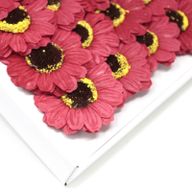 DIY Seifenblumen - kl. Sonnenblume - Rot