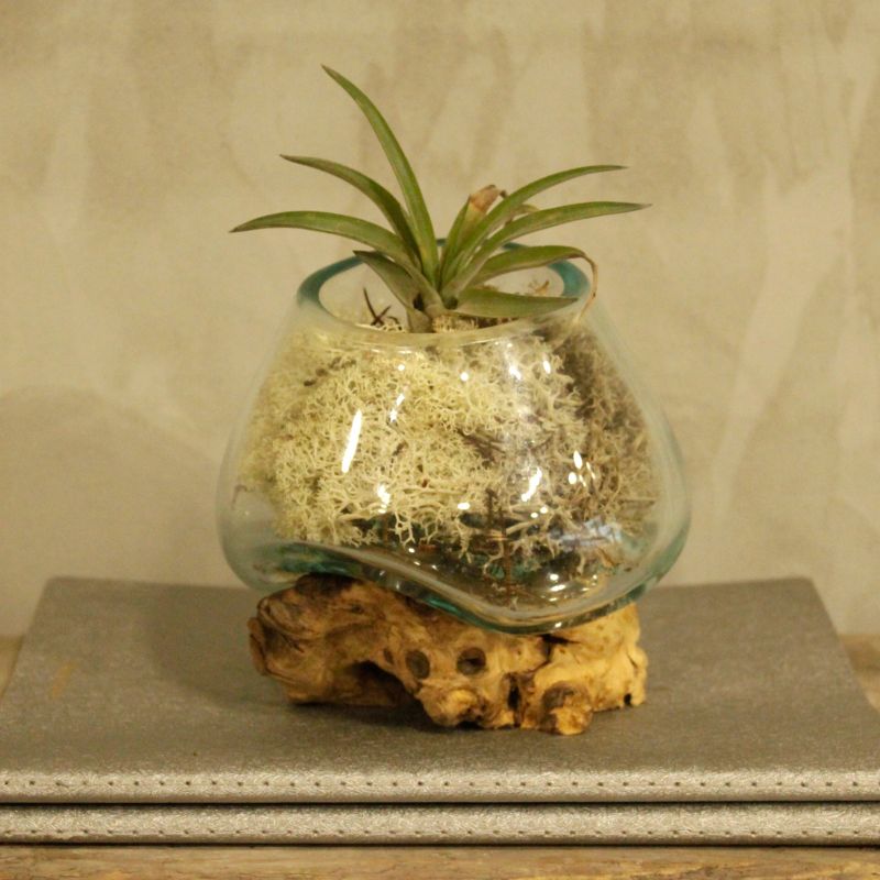 Full Carton Molten Glass on Wood - Small Bowl