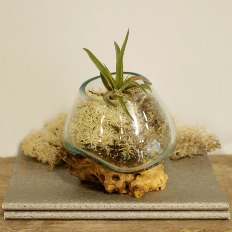 Full Carton Molten Glass on Wood - Small Bowl