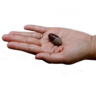 Ein Zoll Lingam - 3 Steine