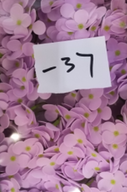 DIY Seifenblumen - Hyazinthen - Lavendel