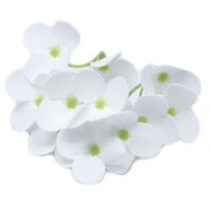 DIY Seifenblumen - Hyazinthen - Weiß