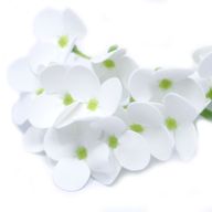 DIY Seifenblumen - Hyazinthen - Weiß