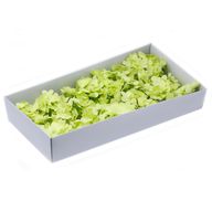 DIY Seifenblumen - Hyazinthen - Frühlingsgrün