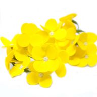 DIY Seifenblumen - Hyazinthen - Gelb