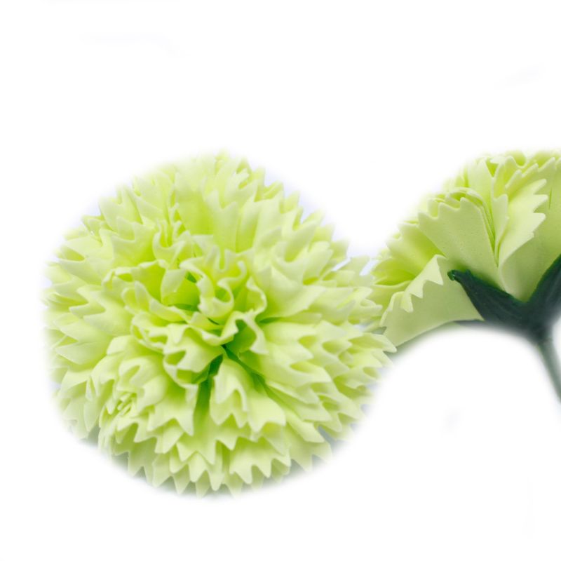 DIY Seifenblumen - Nelken - Limette
