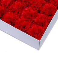 DIY Seifenblumen - Nelken - Rot