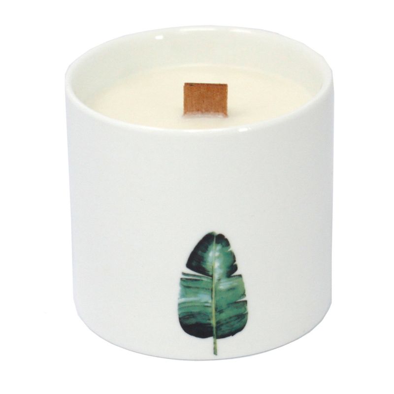 Große botanische Kerzen - Sumpfveilchen