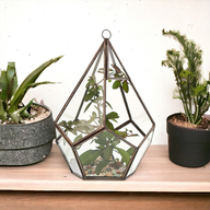 große Pyramide