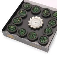 12er-Packung Harztöpfchen - Weißer Salbei