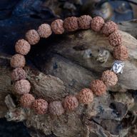 Rudraksha Buddah Bangle Mala - Natürlich