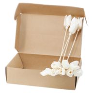 Diffusorblumen - Tulpe mit Rattanstab