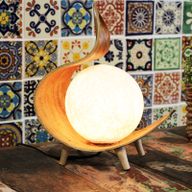 Natürliche Kokosnusslampe-  Twist