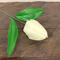 DIY Seifenblumen - mittelgroße Tulpe - Elfenbein