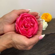 DIY Seifenblumen - ext. große Pfingstrose - Rosa