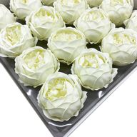 DIY Seifenblumen - ext. große Pfingstrose - Elfenbein