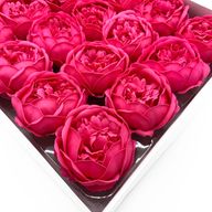 DIY Seifenblumen - ext. große Pfingstrose - Rosa