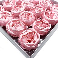 DIY Seifenblumen -ext. große Pfingstrose - Pink