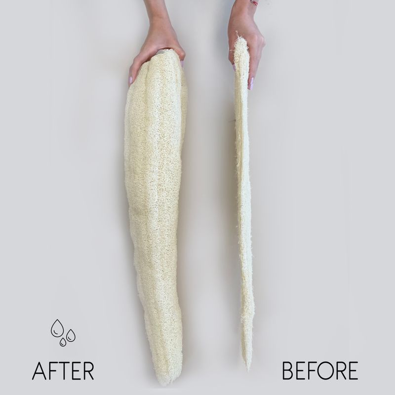Ägyptischer Luxus Luffaschwamm - komprimiert - 60cm+