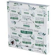 12 Backflow Räucherkegel - Californian White Sage