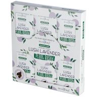 12 Backflow Räucherkegel - Lush Lavender