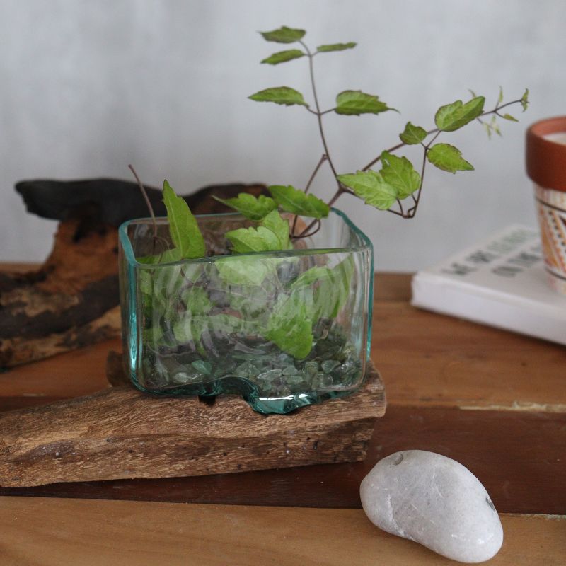 Auf Holz gegossener Glastank mit Ständer - Kleine Schale