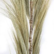 Natürliches Rayung-Gras Blond - 1.6m