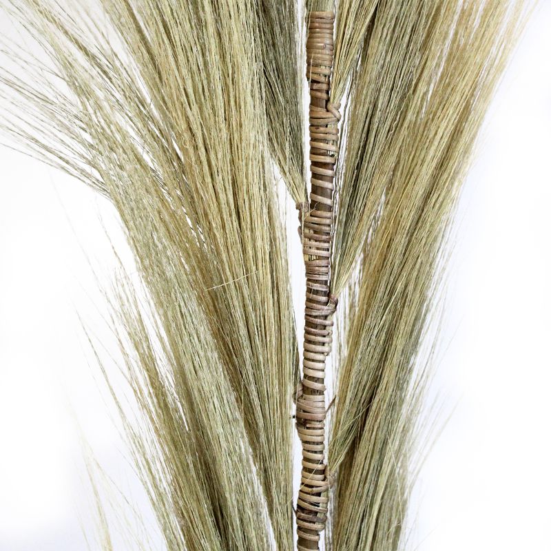 Natürliches Rayung-Gras Blond - 1.6m