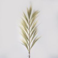 Natürliches Rayung-Gras Blond - 1.6m