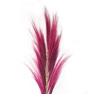 Natürliches Rayung-Gras Rosa 1.6m