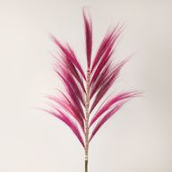 Natürliches Rayung-Gras Rosa 1.6m
