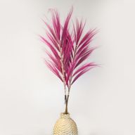 Natürliches Rayung-Gras Rosa 1.6m