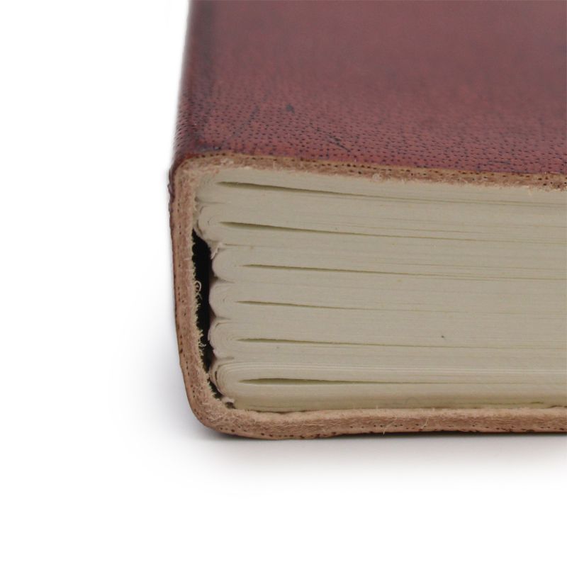 Mittleres Notizbuch mit Riemen - Handlesen